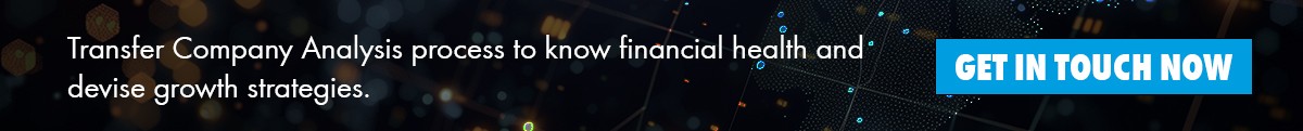 Company Analysis